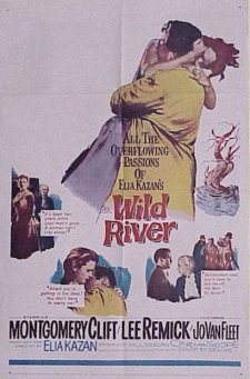 WILD RIVER